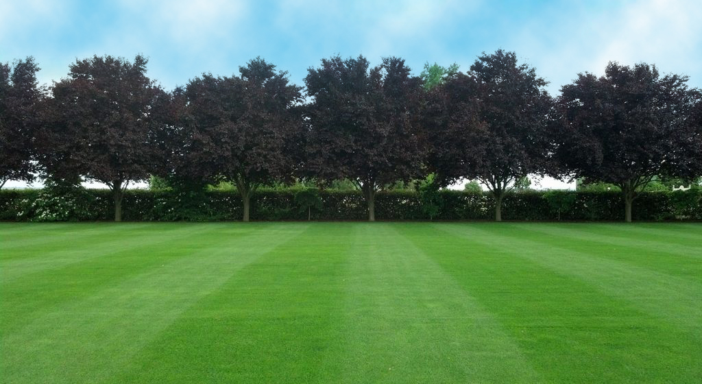Raising the edge of a lawn