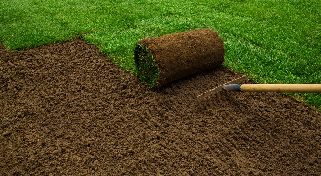 Laying turf in Hertfordshire