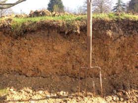 Preparation for laying turf
