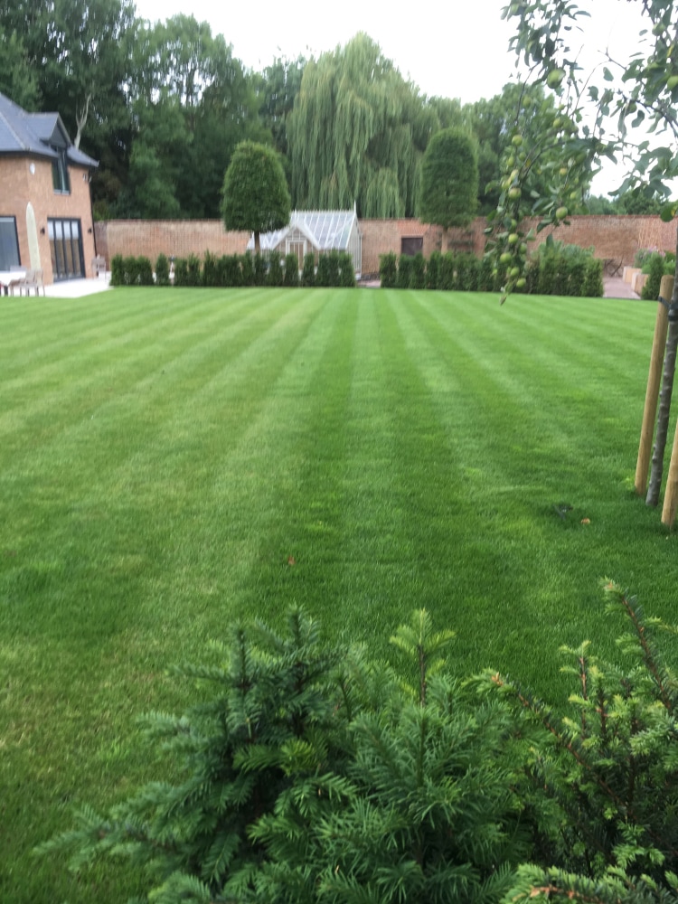 Spring lawn care