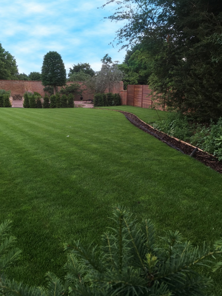 Summer Lawn care