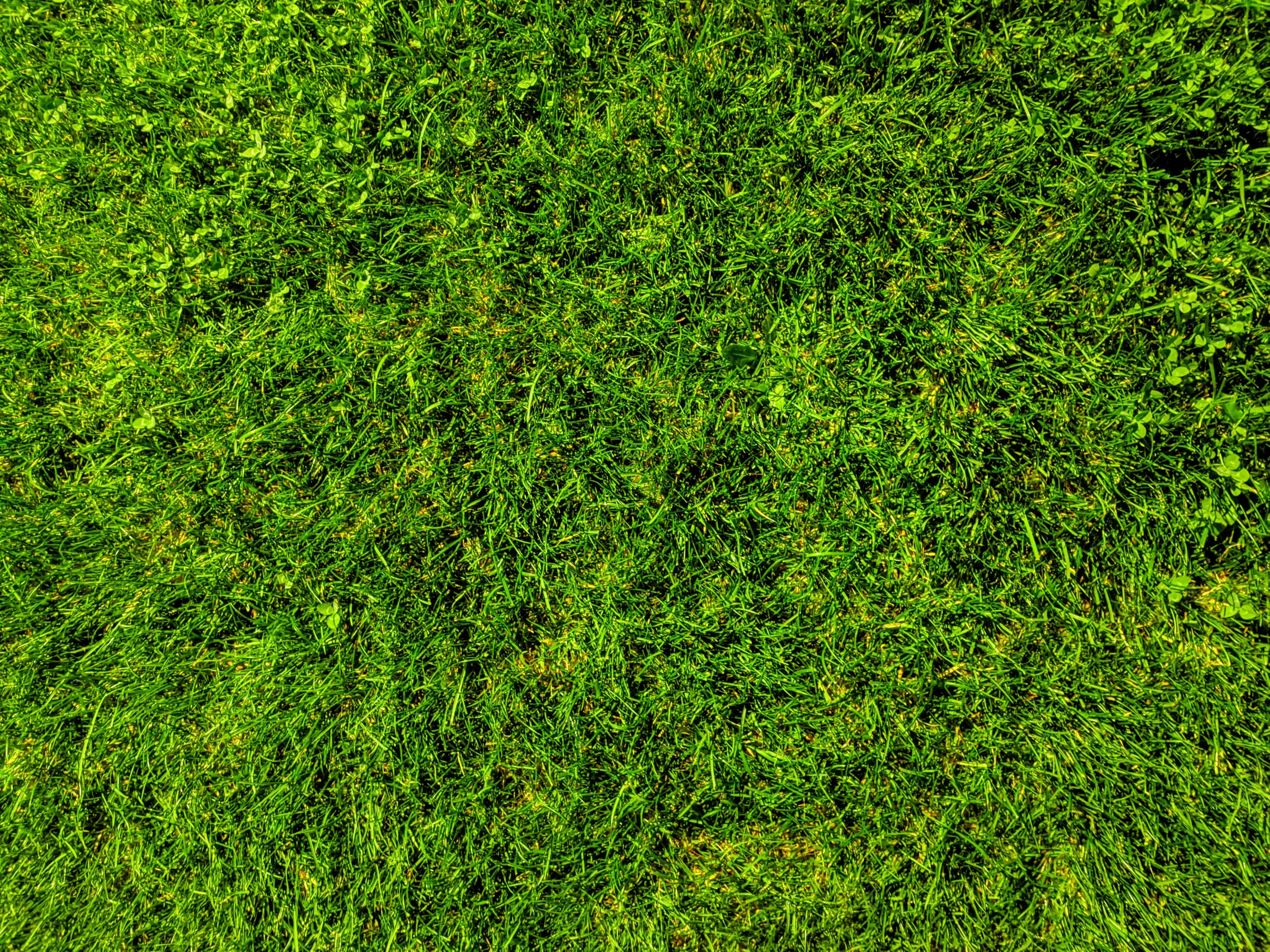 Lawn care